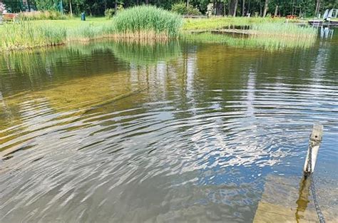 Přírodní Koupací Biotop Jince Kudy Z Nudy