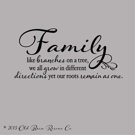 Quotes About Family Trees. QuotesGram