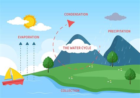 Premium Vector | Water cycle flat cartoon illustration in earth natural environment