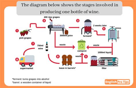 Task 1 Process Diagram For Making Wine Englishprotips