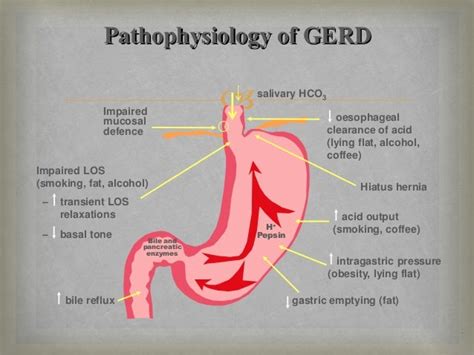 Referrat Gerd