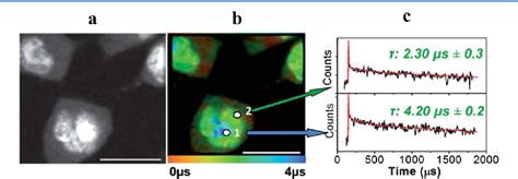 Long Lived Emissive Probes For Time Resolved Photoluminescence