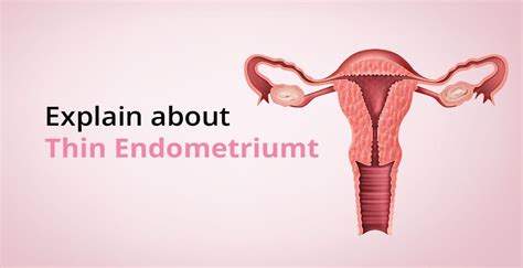 Thin Endometrium Symptoms Causes Treatment Birla Fertility Ivf