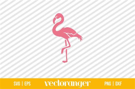 Pink Flamingo SVG Free Vectoranger