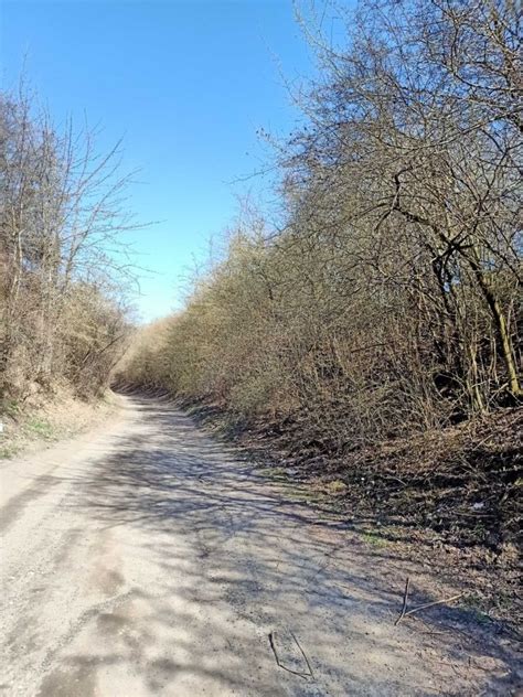 Dzia Ka Lublin Ul Tadeusza Grodzickiego Bez Po Rednika M