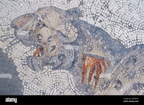 Detail Of Floor Mosaic Great Palace Of Constantinople Great Palace