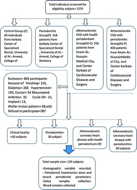 Flowchart Detailing The Complete Study Design And Selection Criteria