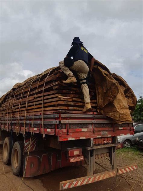 Prf Apreende Carga De Madeira Ilegal Na Br Em Altamira Par G