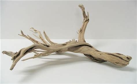 Large Driftwood Branches For Sale The Urban Decor