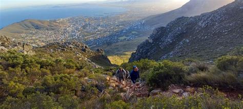 Cape Town India Venster Table Mountain Hike Getyourguide