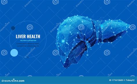 Liver Health Care Infographic Healthy Treatment Medical Internal Organs