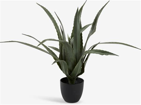 Plante Artificielle Celius H Cm Aloe Vera Jysk