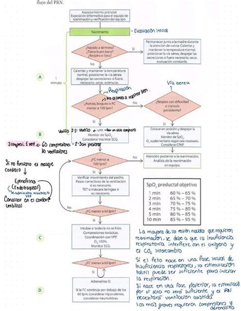 Rcp Neonatal Mariana Ali Udocz