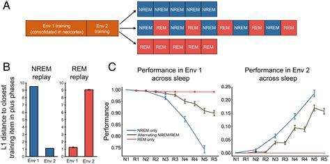 A Model Of Autonomous Interactions Between Hippocampus And Neocortex