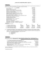 Analyzing Shareholders Equity Audit Balances And Transactions