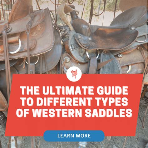 ultimate guide   types  western saddles  barrel