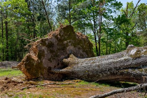 DVIDS - Images - Tornado Damage in Adamsville, TN [Image 5 of 41]