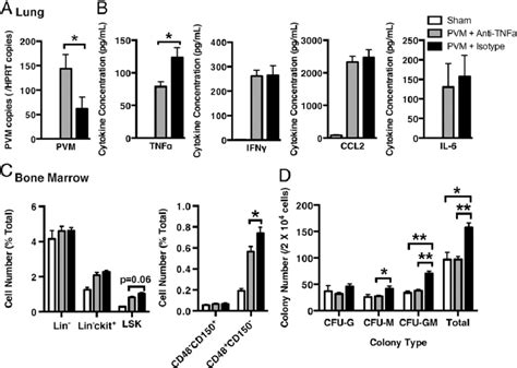 Anti Tnf A Administration Results In Increased Viral Load And Decreased Download Scientific