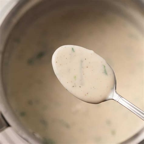 Creamy Peppercorn Sauce Sauce Fanatic