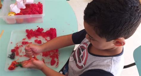 Projeto Pequenos Cientistas Alegra Educandos Da Escola Infantil