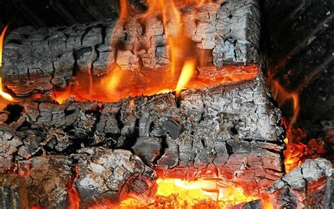 LAssemblée adopte une aide pour les ménages se chauffant au bois Le