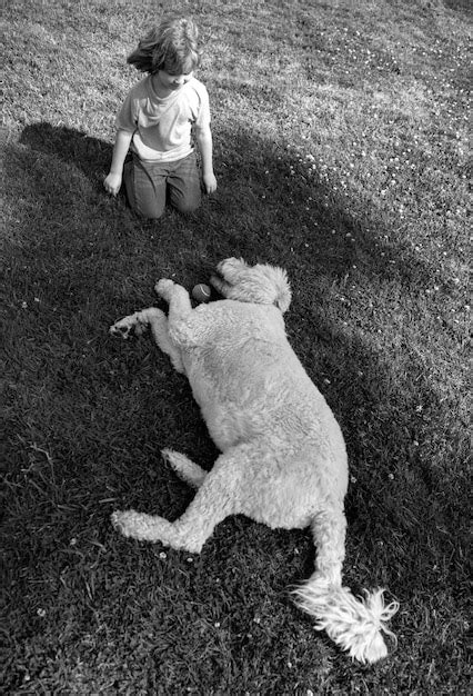 Niño feliz con perro tendido en la hierba retrato de niños niño con