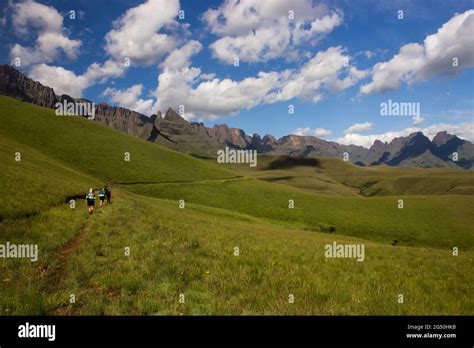 An Afroalpine Grassland Surrounded By The High Basalt Cliffs And Peaks Of The Drakensberg