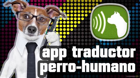 TRADUCTOR PERRO HUMANO APP YouTube