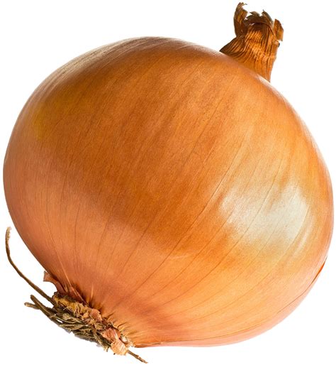 Onion PNG File PNG Mart