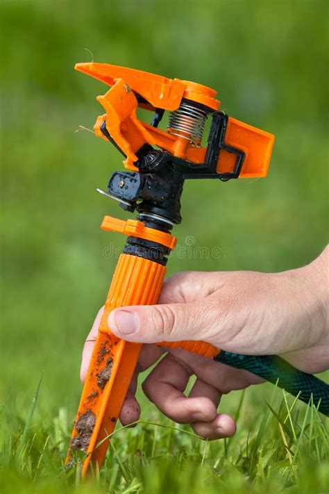 Hand with garden sprinkler stock image. Image of gardener - 73232189