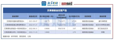 【读财报】首家外资公募基金业绩承压：贝莱德基金在管产品均告负 面包财经的财新博客 财新网