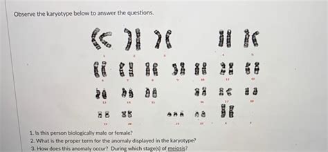 Solved Observe The Karyotype Below To Answer The Questions Chegg