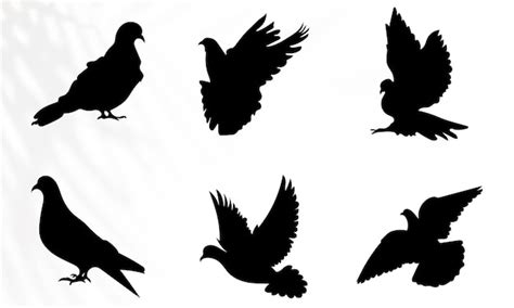 Premium Vector Pigeon Silhouette Isolated On White Background Premium