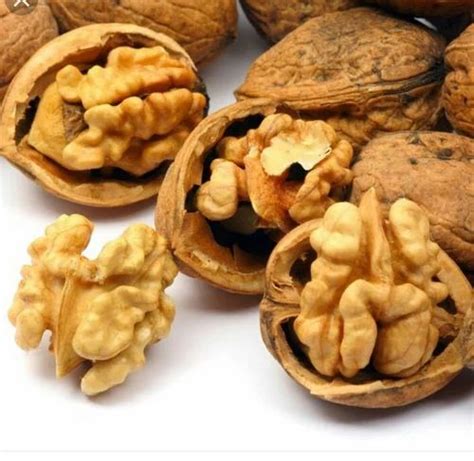 Kashmir Walnut Kernels Packaging Type Plastic Box Packing Size 1 Kg