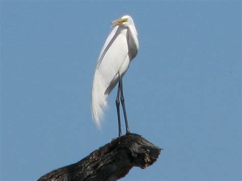 Nature Is Real: Guana State Park & Guana Wildlife Management Area