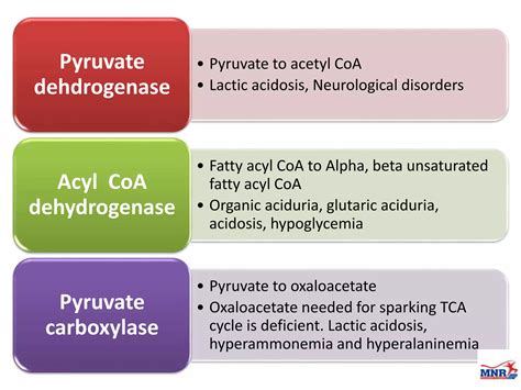 Citric acid cycle (TCA cycle) by Dr. Anurag Yadav | PPTX