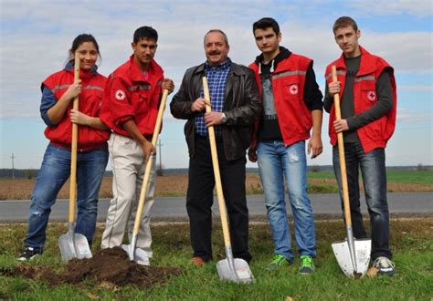 Voluntarii Crucii Rosii Plantam Copaci Societatea Na Ional De