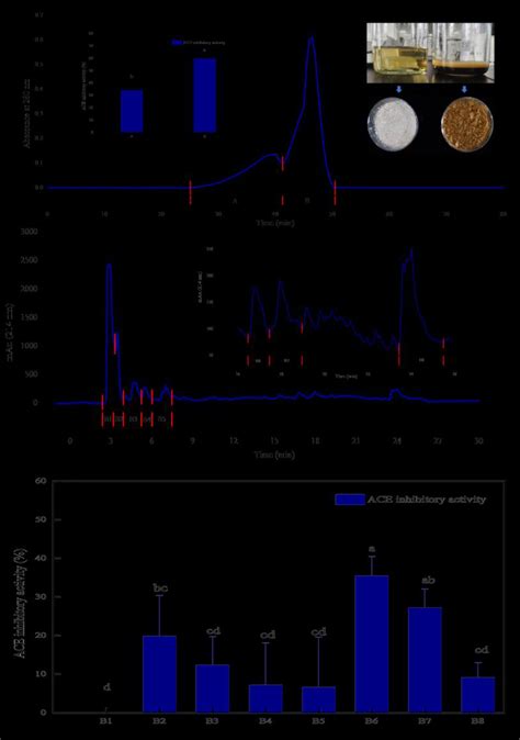 A Hydrolysates And Powders Of UF And UF II Sephadex G 25 Size