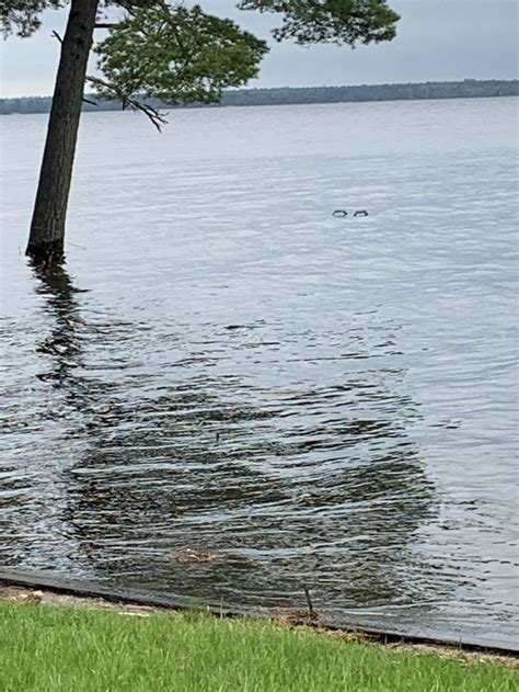 Kathie Armstrong Adl Kullan C N N Flooding Of At Our Cabin