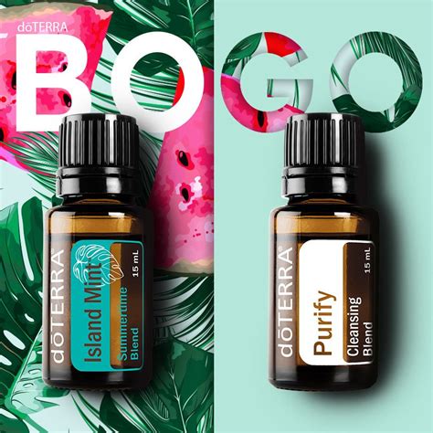 Buy Island Mint Ml Get Purify Ml Free July Bogo