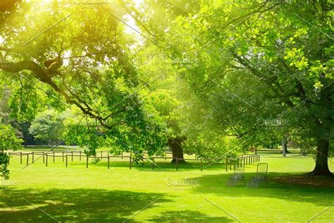 Bright Sunny Day In Park High Quality Nature Stock Photos Creative