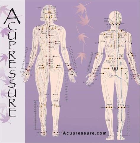 Accupressure Chart Acupressure Points Acupressure Acupuncture