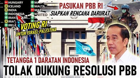 SAHH RI 120 NEGARA DUKUNG PBB HENTIKAN ISRAEL PASUKAN TNI PBB