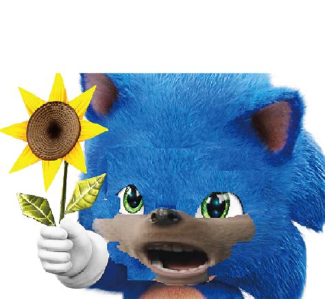 Pre Redesign | Baby Sonic | Know Your Meme