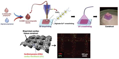 Gels Free Full Text Nanocomposite Bioprinting For Tissue