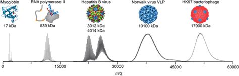 Native Mass Spectrometry A Glimpse Into The Machinations Of Biology