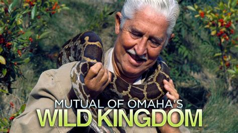 Mutual Of Omahas Wild Kingdom Nbc Reality Series