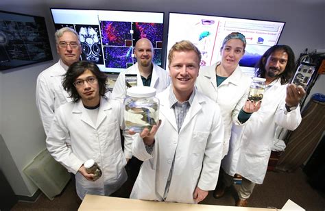 Utep Researchers Innovate Brain Preservation Eurekalert