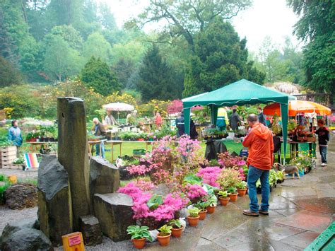 Pflanzenb Rse Verein Freunde Des Botanischen Gartens Bielefeld E V