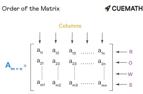 Order Of Matrix Formula Definition Types Examples